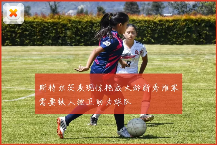 斯特尔茨表现惊艳成大龄新秀谁家需要铁人控卫助力球队